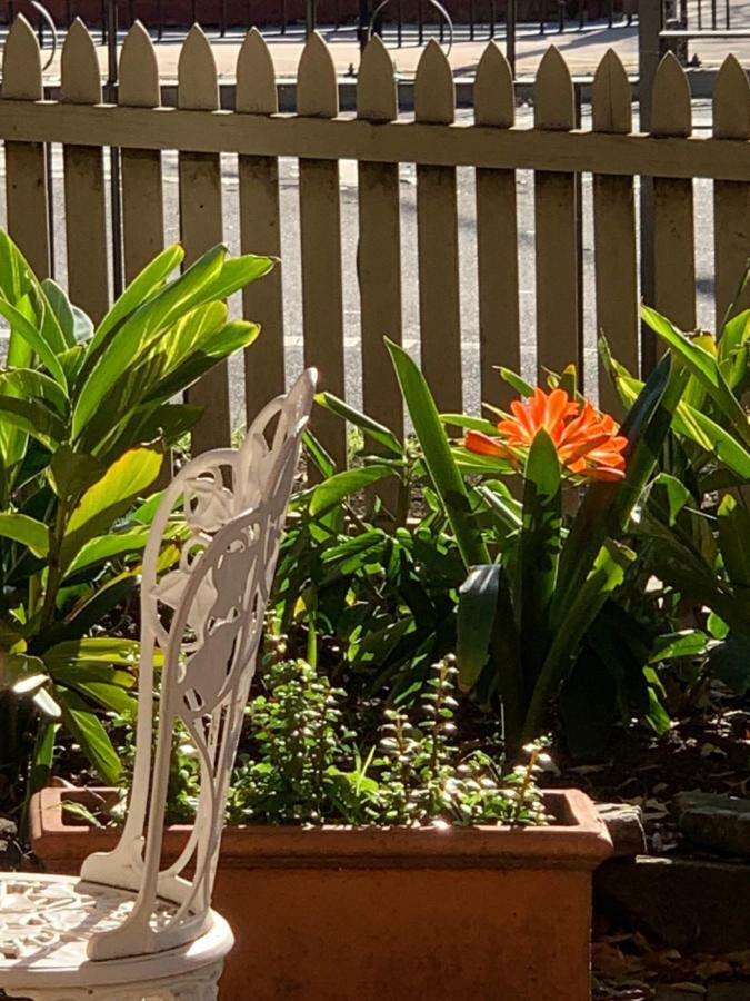 Burwood Bed And Breakfast Sidney Exterior foto